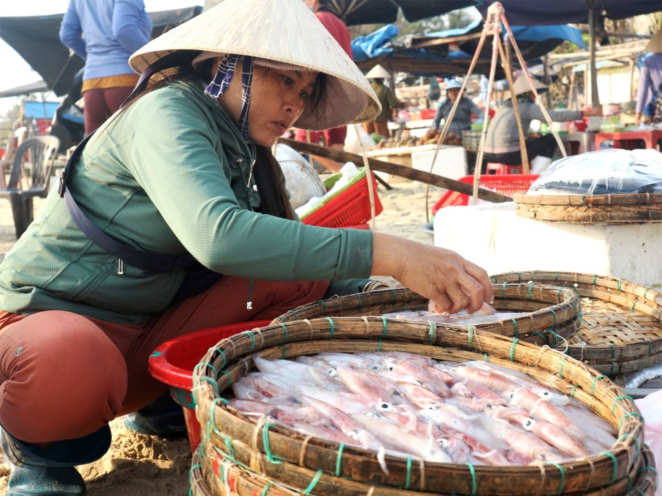 Khám phá khu chợ cá chỉ họp vào mùa hè suốt 18 năm ở Quảng Nam - 6 Khám phá khu chợ cá chỉ họp vào mùa hè suốt 18 năm ở Quảng Nam - 6