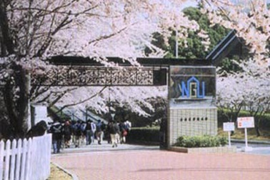 Học bổng toàn phần sau đại học của Chính phủ Thái Lan 