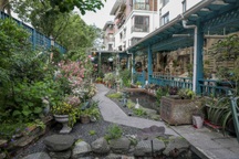 Nữ doanh nhân bận rộn làm vườn 200m2 với trăm loài cây, hoa khoe sắc