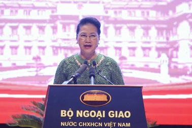 Chủ tịch Quốc hội: Ngoại giao mềm dẻo sẽ tránh những bất lợi cho Việt Nam