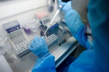 Việt Nam phát hiện chủng virus SARS-CoV-2 biến thể mới của Anh