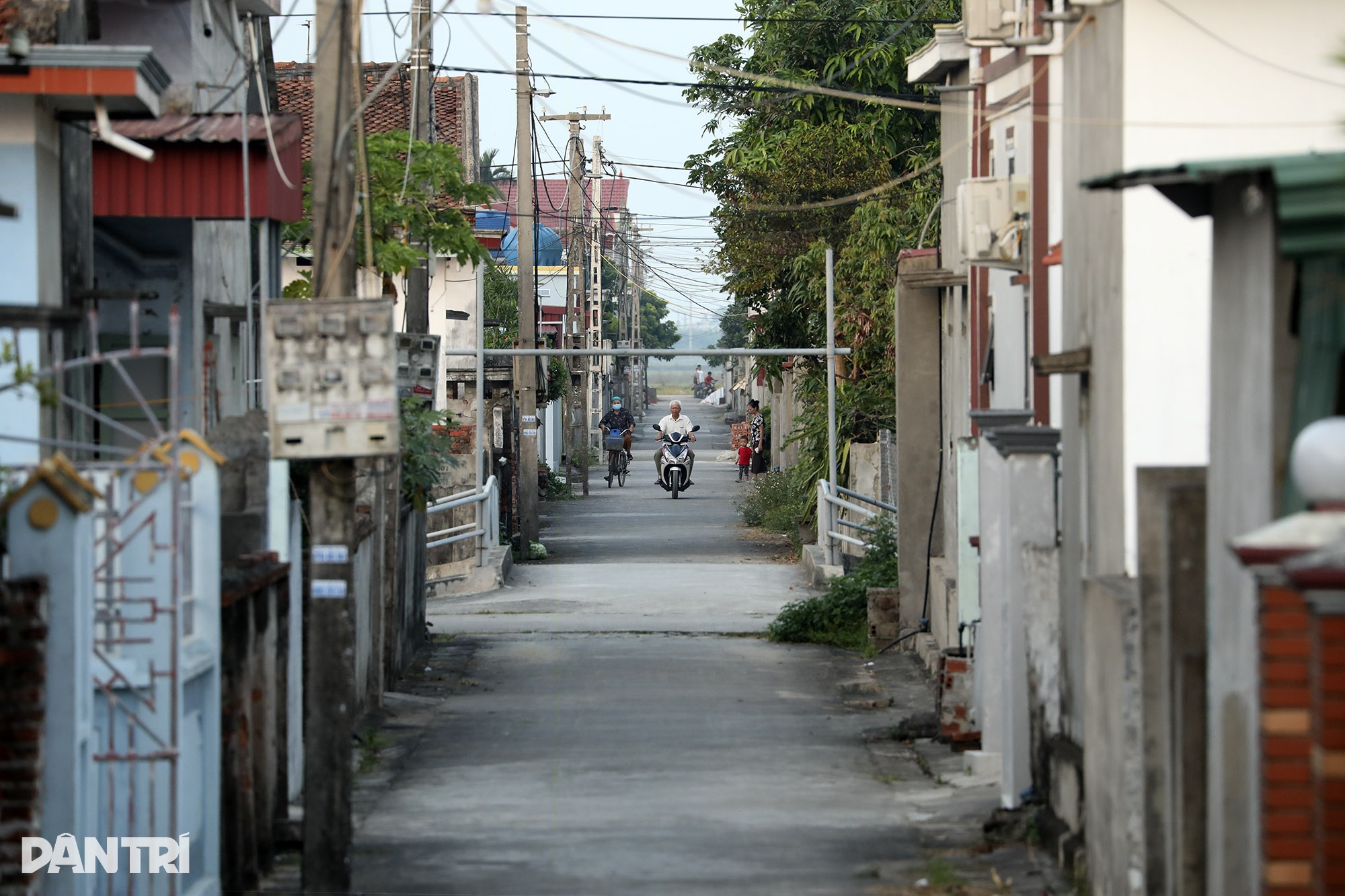 ハイフォンとタイビンの海岸沿いのチェス盤のように美しく計画された村々 - 9 Những ngôi làng quy hoạch đẹp như bàn cờ ven biển Hải Phòng và Thái Bình - 9