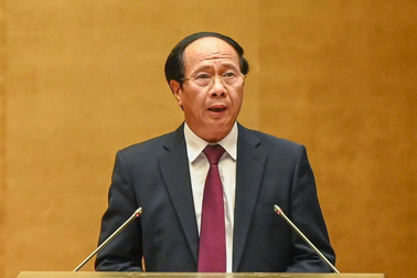 Nghiên cứu quy định lịch sử là môn học bắt buộc