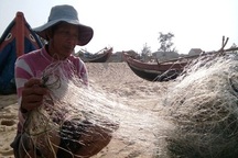 Thuê thợ lặn tìm hiểu vùng biển phát hiện cá chết dưới đáy biển