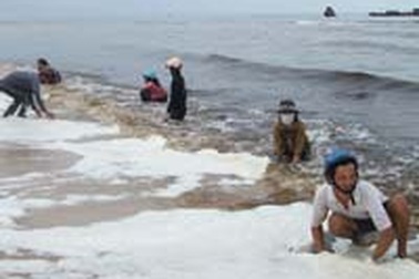 Thủy triều đỏ tấn công bờ biển Bình Thuận
