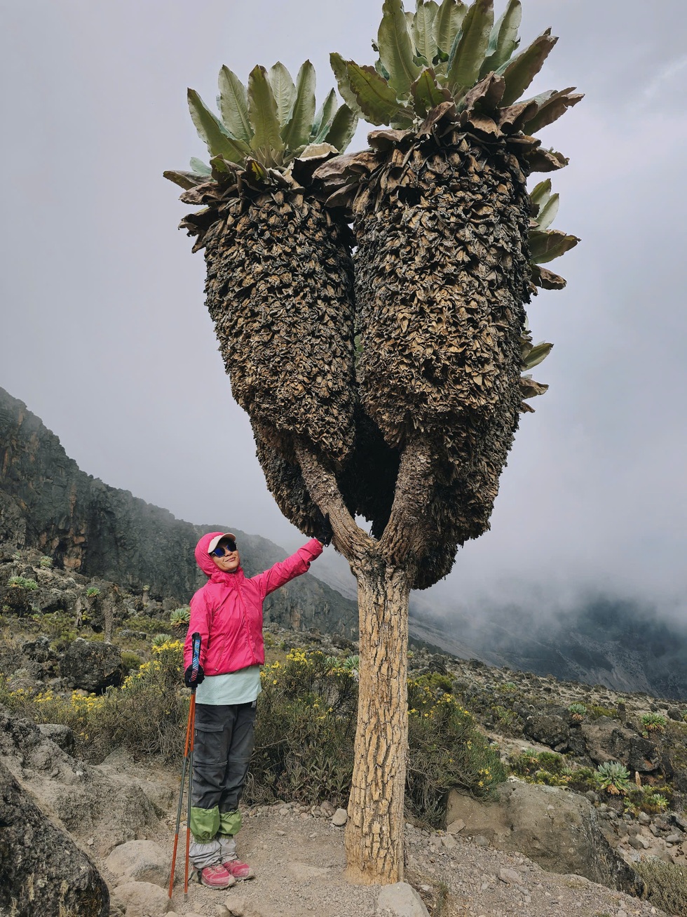 Cô gái Việt kể lại phút cận kề sinh tử khi chinh phục nóc nhà châu Phi - 7