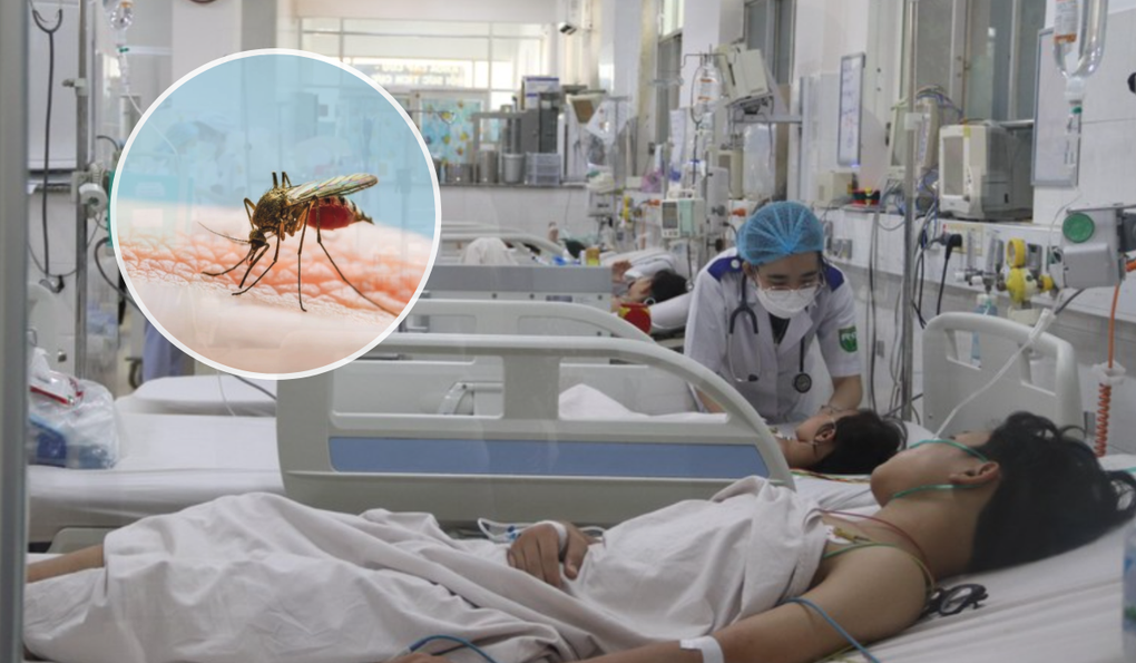 Tháng 9, tháng 10 là giai đoạn cao điểm của dịch sốt xuất huyết - 1 Tháng 9, tháng 10 là giai đoạn cao điểm của dịch sốt xuất huyết - 1