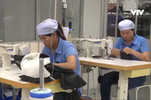 Tốt nghiệp đại học không có việc, cử nhân đi làm công nhân