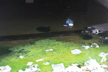 Hà Nội: Xót xa biệt thự chục tỷ biến thành "ao tù" 