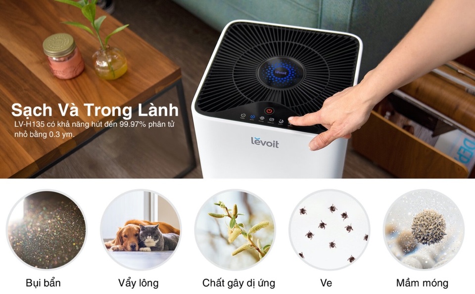 Ô nhiễm không khí “kẻ giết người thầm lặng” - 2