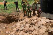 Tiêu hủy 1,2 tấn chân gà nhập lậu, phạt chủ hàng 20 triệu đồng