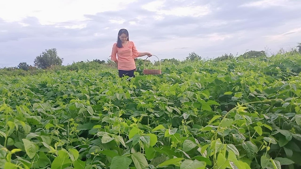 Ông bố gà trống nuôi con làm mảnh vườn gần 4.000m2 ở Bình Thuận - 12