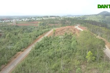 Cận cảnh dự án làm biệt thự trên đất rừng bị thanh tra ở Kon Plông