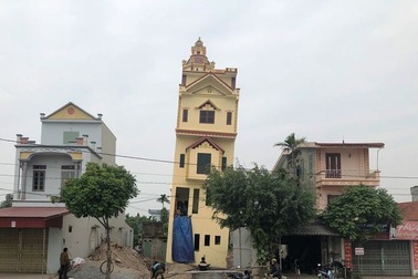 Ngôi nhà nghiêng và hàng trăm gốc đào bị kẻ xấu chặt phá