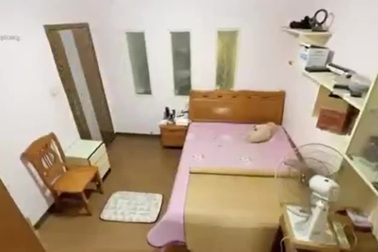 Chú chó thông minh biết trải chiếu, tắt đèn, bật quạt khi đi ngủ