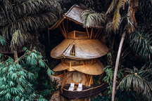 Vì sao các nước "phát sốt" với công trình xanh?