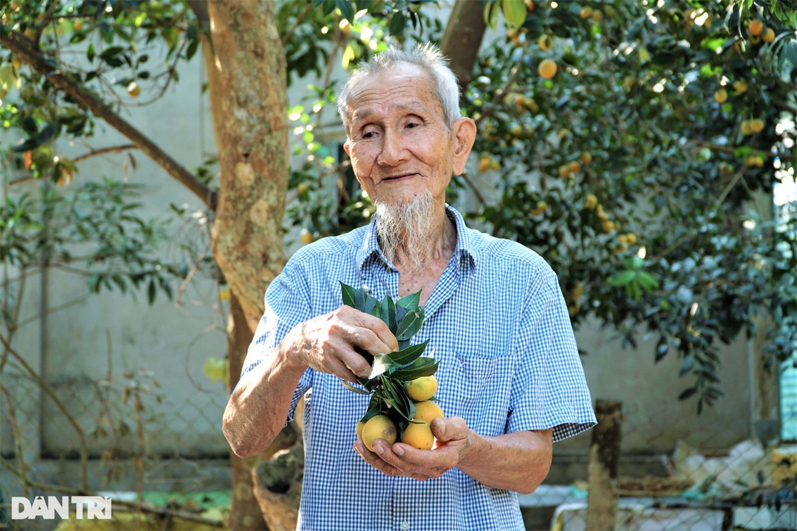 Trồng xoài rừng làm chơi ăn thiệt - 3 Trồng xoài rừng làm chơi ăn thiệt - 3