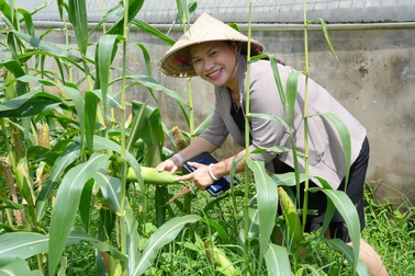 Đại học Trà Vinh trở thành điểm du lịch mới ở miền Tây