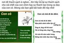 Vụ nữ sinh tự tử vì bị kỷ luật: Hành xử trái với đạo đức nhà giáo!