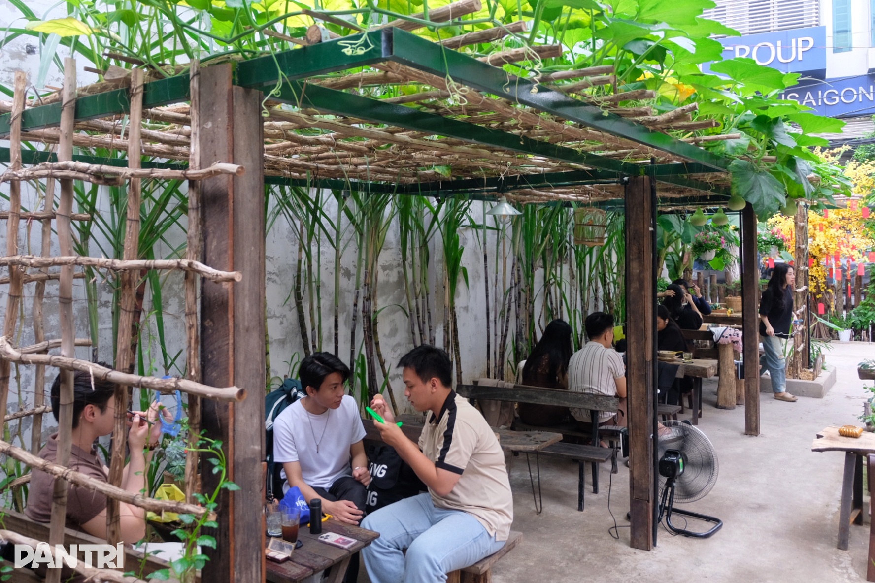 ហាងកាហ្វេក្នុងទីក្រុងហូជីមិញ មានចង្ក្រានឈើមួយ និងចង្រ្កានបាយ៖ អតិថិជនបើកឡាន ១ ម៉ោងដើម្បីថតរូប - ២ Quán cà phê ở TPHCM có bếp củi, giàn bầu: Khách chạy 1 tiếng đến chụp ảnh - 2