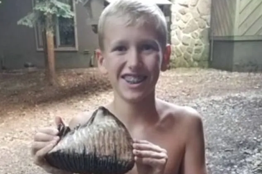 Cậu bé 12 tuổi tìm thấy răng ma mút khi đang đi nghỉ hè