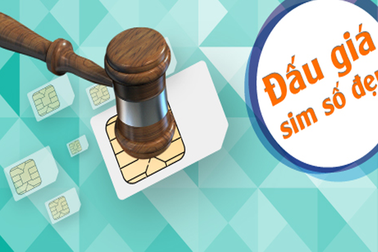 Sắp đấu giá sim số đẹp, tên miền Internet