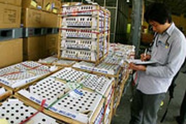 10.000 con gà đang mắc kẹt ở sân bay Nội Bài 