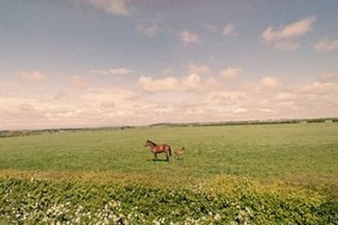 Những khung cảnh đẹp và ấn tượng trên Google Street View