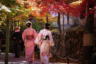 Ngây ngất sắc đỏ mùa thu Nhật Bản