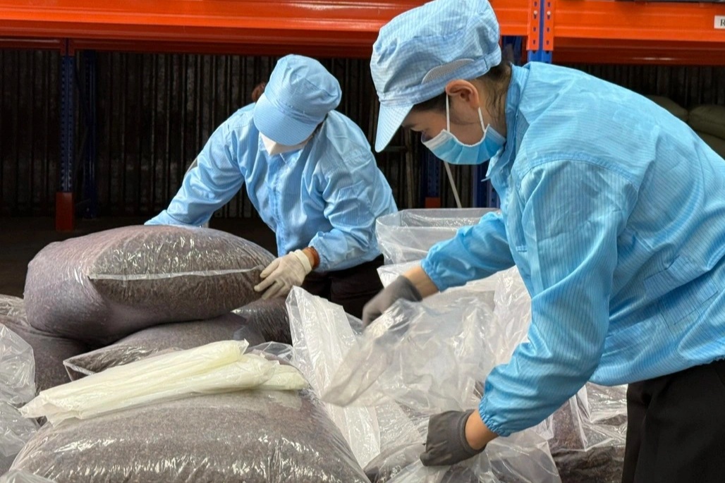 Phần bỏ đi từ quả cà phê có giá 1 triệu đồng/kg, nông dân bất ngờ có tiền - 3 Phần bỏ đi từ quả cà phê có giá 1 triệu đồng/kg, nông dân bất ngờ có tiền - 3