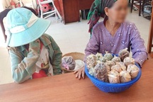 Đà Nẵng: Xử lý gần 130 trường hợp lang thang, xin ăn biến tướng, hàng rong