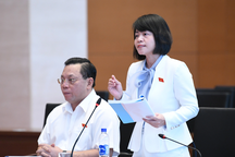 Đề xuất lập danh mục "biển số đẹp" tứ quý, ngũ quý…