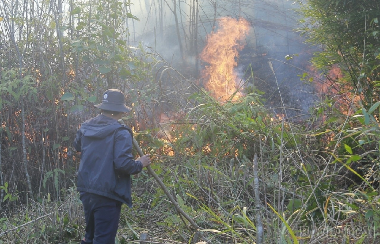 Khống chế xong đám cháy ở VQG Hoàng Liên, nhiều người trắng đêm canh rừng - 3