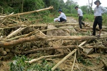 Ngỡ ngàng khi không có đường về nhà