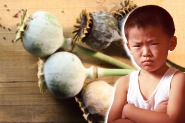 Bị bố thúc ép học hành, con trai báo công an bí mật động trời của bố