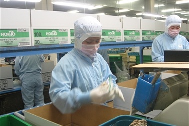 Thêm nhiều cơ hội làm việc tại Nhật Bản