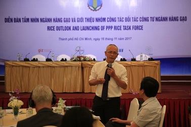 Nỗ lực mới giúp ngành gạo phát triển bền vững