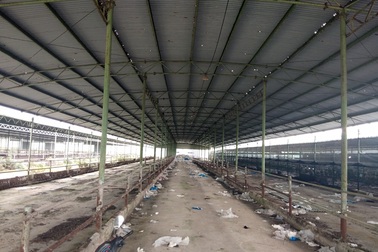 “Đột nhập” dự án 4.500 tỷ, nơi con trai cựu Chủ tịch BIDV Trần Bắc Hà bán bò lấy tiền tư túi