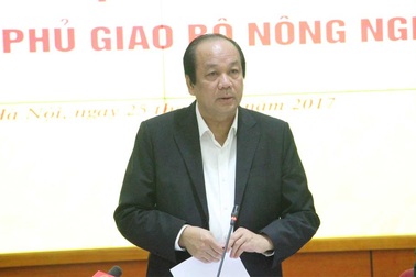 Ông Mai Tiến Dũng: Mặt hàng nông nghiệp còn vướng nhiều thủ tục rườm rà