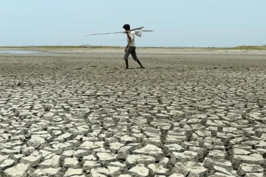 Con người sẽ bị tuyệt chủng sau bao lâu nếu ngừng sinh con?