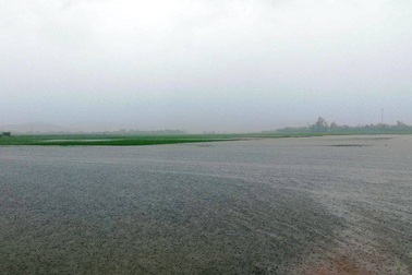 Người dân bị ảnh hưởng nặng nề trước khi bão vào đất liền