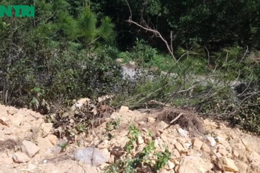 Dự án đường cao tốc tạo “bẫy”trên cao uy hiếp người dân