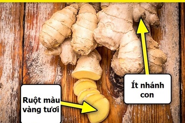 Bí quyết giúp bà nội trợ chọn mua gia vị đảm bảo chất lượng