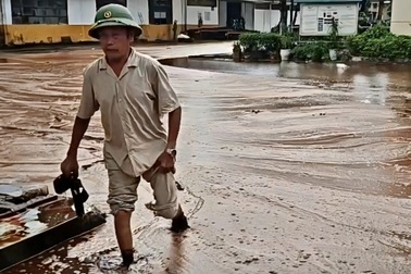 Sét đánh trúng bể chứa nhà máy đường, hàng nghìn tấn mật tràn ra khuôn viên