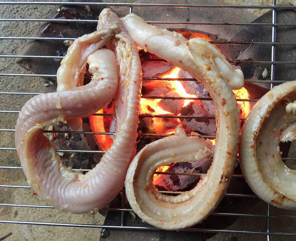 Loài cá xấu hết phần thiên hạ nhưng ăn ngon không ngờ - 4 Loài cá xấu hết phần thiên hạ nhưng ăn ngon không ngờ - 4
