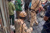 Tạm giữ hình sự tài xế nghi vượt đèn đỏ, kéo lê chiến sĩ CSGT