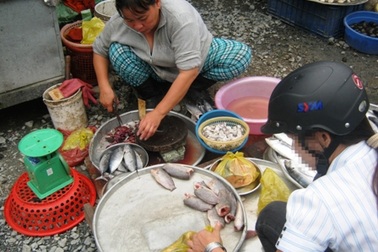 Thịt ôi, cá ươn vào nồi cơm sinh viên 