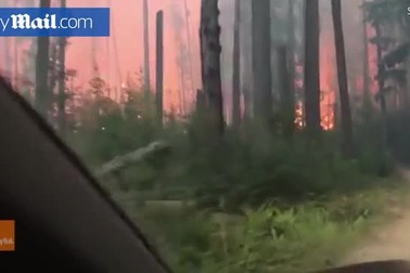 Thoát chết trong gang tấc khi lái xe băng qua biển lửa cháy rừng ở Mỹ