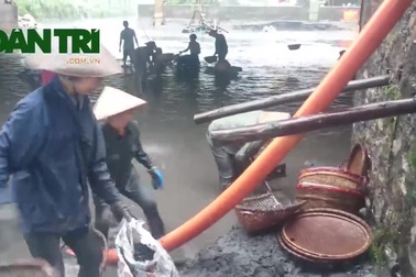 Quảng Ninh: Người dân đua nhau đi vớt than sau lũ quét