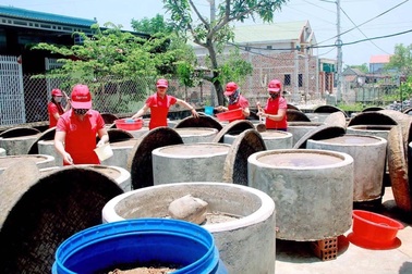 Quảng Bình: Kiếm tiền tỷ nhờ nghề làm nước mắm truyền thống